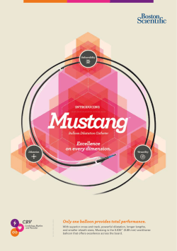 Only one balloon provides total performance.