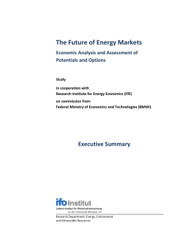 The Future of Energy Markets - Economic Analysis and Assessment