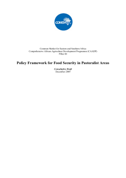 Policy Framework for Food Security in Pastoralist Areas