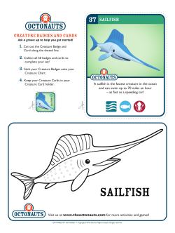 sailfish - Octonauts