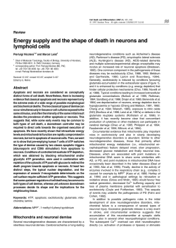 Energy supply and the shape of death in neurons and