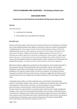 CATTLE STANDARDS AND GUIDELINES &ndash; Tail Docking of Dairy