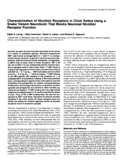 Characterization of Nicotinic Receptors in Chick Retina Using a