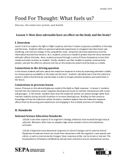 Lesson Plan Template