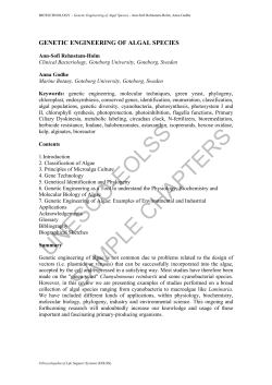 Genetic Engineering of Algal Species