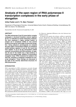 Analysis of the open region of RNA polymerase II transcription