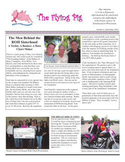 The Flying Pig - Ribbon of Hope