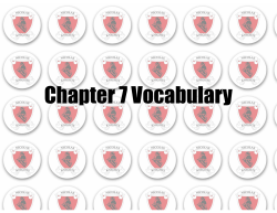 Chapter 7 Vocabulary
