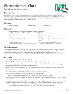 Electrochemical Clock