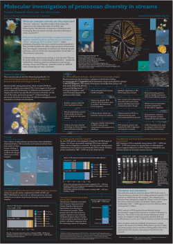Molecular investigation of protozoan diversity in streams