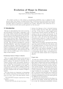 Evolution of Shape in Diatoms