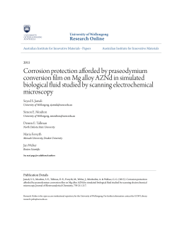 Corrosion protection afforded by praseodymium conversion film on