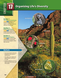 Chapter 17 - Bellbrook