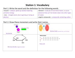 Station 1: Vocabulary