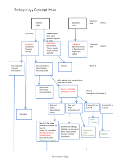 Embryology Concept Map
