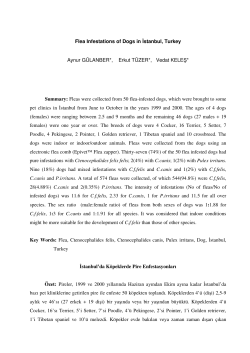 Fleas were collected