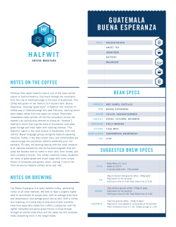 GUATEMALA Buena Esperanza Info Sheet