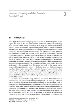 Normal Histology of the Female Genital Tract