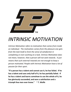 INTRINSIC MOTIVATION
