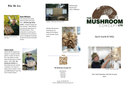 FAQs Mushroom Concept - Marlborough Mushrooms