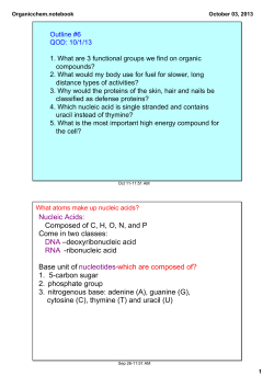 Nucleic Acids: Composed of C, H, O, N, and P Come in two classes