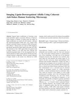 Imaging Lignin-Downregulated Alfalfa Using Coherent Anti