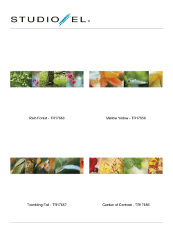 Rain Forest - TR17660 Mellow Yellow - TR17659