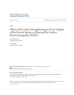Effects of Eccentric Strengthening on Force Output of the Erector