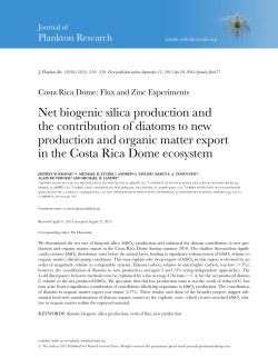 Net biogenic silica production and the