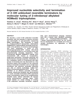 Improved nucleotide selectivity and termination of 3′