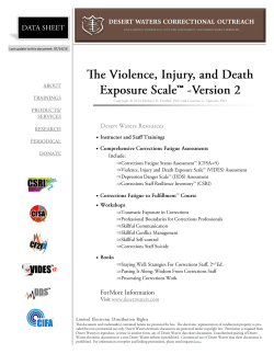 The Violence, Injury, and Death Exposure Scale (VIDES