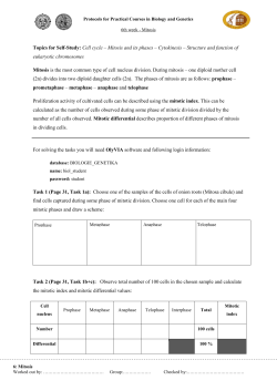 SAMOSTATN&Aacute; PR&Aacute;CE STUDENTŮ