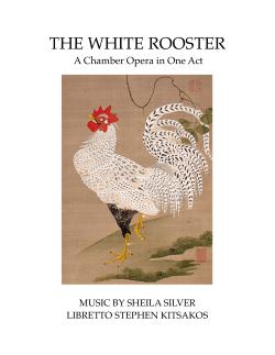The White Rooster - Stephen Kitsakos