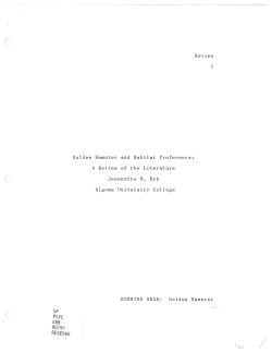 Review Golden Hamster and Habitat Preference