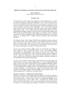 The tree species of Sophora (Fabaceae) indigenous to New