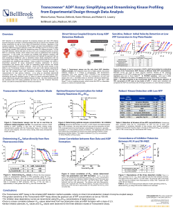Simplifying and Streamlining Kinase Profiling from Experimental