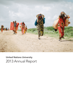 United Nations University 2013 Annual Report