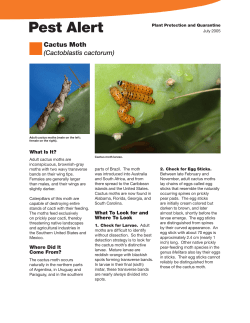 Pest Alert: Cactus Moth
