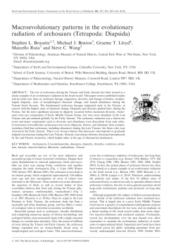 Macroevolutionary patterns in the evolutionary radiation of