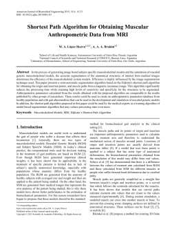 Musculoskeletal Models, MRI, Dijkstra`s Shortest Path Algorithm