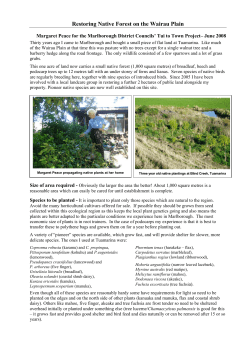 Notes for Native Planting on the Wairau Plains