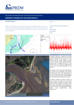 sediment dynamics at the river mouth