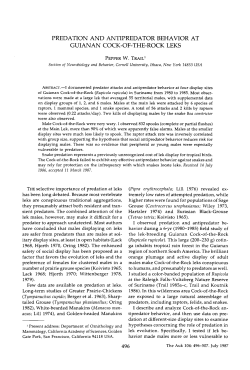 predation and antipredator behavior at guianan cock-of