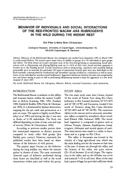 behavior of individuals and social