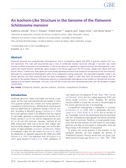 An isochore-like structure in the genome of the flatworm