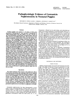 Pathophysiologic Evidence of Gentamicin Nephrotoxicity in