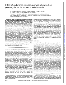 Effect of endurance exercise on myosin heavy chain gene regulation