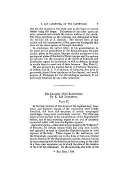 Hae are the largest on the plate, that at the outer or convex border