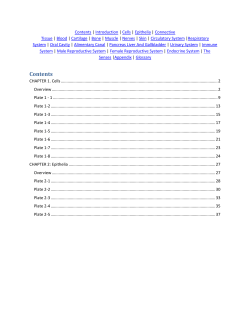 Contents - HistoNano