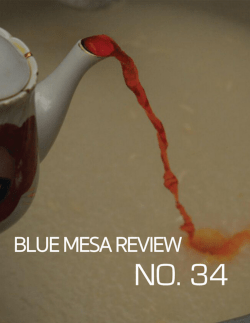 c0ntents - Blue Mesa Review